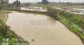 丰城市荷湖乡康庄村委会水田