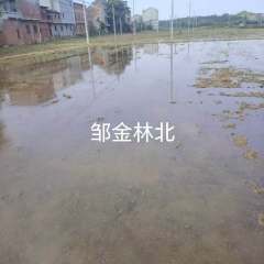丰城市荷湖乡教堂村委会水田