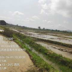 丰城市荷湖乡康庄村委会水田