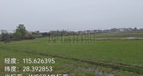 丰城市隍城镇高楼村委会水田