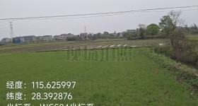 丰城市隍城镇高楼村委会水田