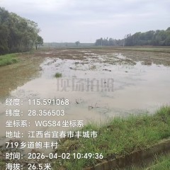 丰城市隍城镇坎上村委会水田