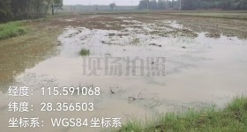 丰城市隍城镇坎上村委会水田