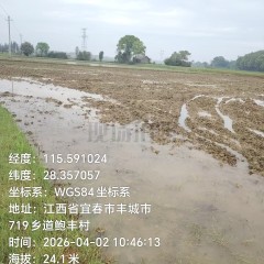 丰城市隍城镇坎上村委会水田