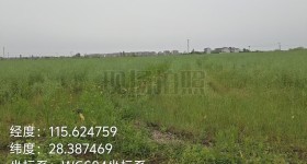 丰城市隍城镇高楼村委会水田