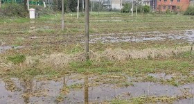 丰城市石滩镇里城村委会水田