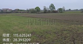 丰城市隍城镇高楼村委会水田