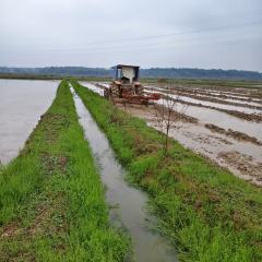 丰城市石滩镇陈家村委会水田