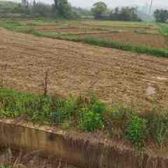 丰城市隍城镇大庙村委会水田