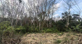 海南省直辖县万宁市兴隆华侨农场30队121.88亩用地租赁项目