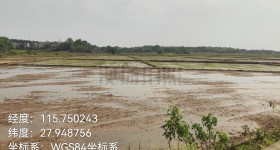 丰城市荷湖乡康庄村委会水田