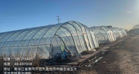 五大连池市新发镇青山村股份经济合作社21-31号大棚出租