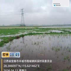 丰城市隍城镇大庙村委会水田