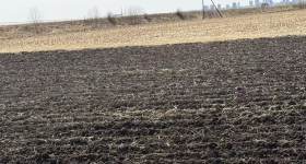 黑河市五大连池市双泉镇龙头村集体经济组织机动地23号竞价发包