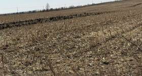 黑河市五大连池市双泉镇龙头村集体经济组织机动地22号竞价发包