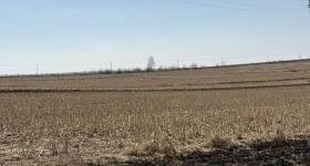 黑河市五大连池市双泉镇龙头村集体经济组织机动地16号竞价发包