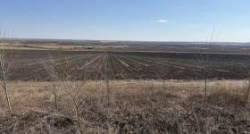 黑河市五大连池市双泉镇龙头村集体经济组织机动地20号竞价发包