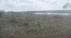 省直辖县文昌市东路镇东路村留六组股份经济合作社110.826亩耕地出租