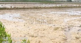 丰城市梅林镇岗上村委会水田