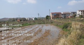 丰城市梅林镇汉墓村委会水田