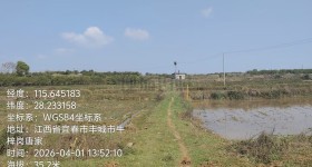 丰城市梅林镇汉墓村委会水田