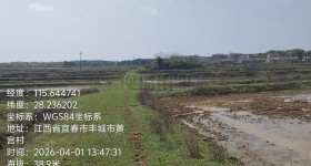 丰城市梅林镇汉墓村委会水田