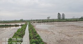 丰城市小港镇中洲村委会水田