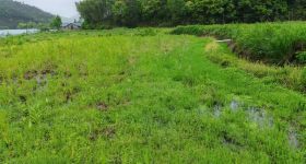 德兴市银城街道天门山居民委员会天门山居45亩稻花鱼养殖基地出租