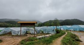 德兴市银城街道天门山居民委员会天门山居15亩生态农场出租