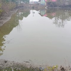 汉寿县洲口镇龙打吉村011