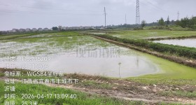 丰城市荣塘镇荣塘村委会水田