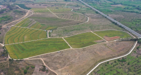 海南儋州市王五镇山营村委会峨答村132.1亩土地经营权出租