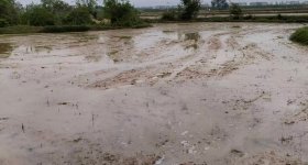 丰城市石滩镇蛟塘村委会水田