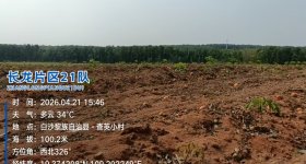 海南省直辖县白沙黎族自治县海胶集团龙江分公司长龙21队334.92亩胶园林下农业土地出租