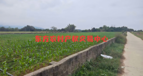 海南省直辖县东方市感城镇陀烈村集体地块二12.18亩集体土地发包