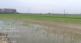 丰城市拖船镇泊濂村委会水田