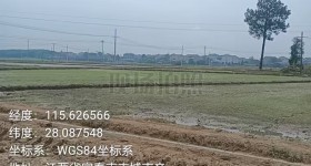 丰城市拖船镇丽城村委会水田