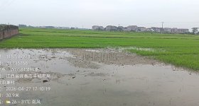 丰城市拖船镇泊濂村委会水田