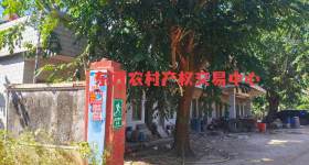海南省直辖县东方市江边乡那文村火龙果基地94.39亩集体地及那文小学389.49㎡校舍出租