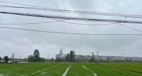 丰城市石滩镇故县村委会水田