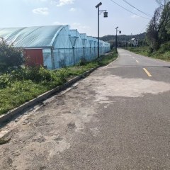 德兴市张村乡界田村民委员会界田村桥南蔬菜基地17.5亩连体大棚出租