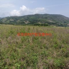 省直辖县乐东黎族自治县抱由镇山荣村水淹地地块19.48亩集体地流转