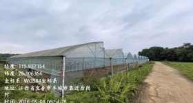 丰城市杜市镇后岗村委会蔬菜种植大棚