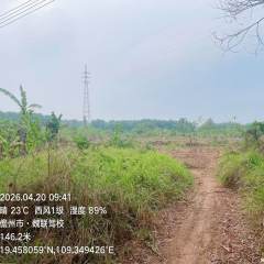 海南儋州市海南农垦八一总场有限公司糖厂百果园种植地67.17亩农用地出租