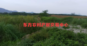 海南省直辖县东方市大田镇二甲村18.3亩坑塘及周边土地出租 