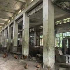 海南省直辖县万宁市北大镇东兴农场礼兴队仓库980㎡出租