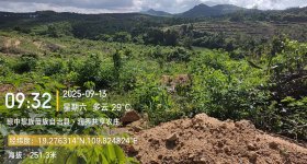 海南省直辖县屯昌县海胶集团中坤分公司中坤17队、中坤23队（原24队）、中坤27队橡胶中小苗963.4亩林下土地出租
