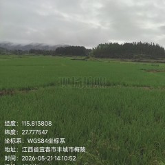 丰城市蕉坑乡瑶里村委会水田