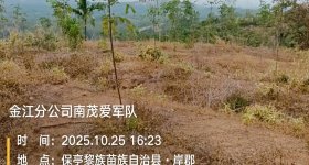 海南省直辖县保亭黎族苗族自治县海胶集团金江分公司南茂片区爱军队(原爱华队)306.7亩林下土地出租