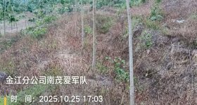 海南省直辖县保亭黎族苗族自治县海胶集团金江分公司南茂片区爱军队336.2亩林下土地出租